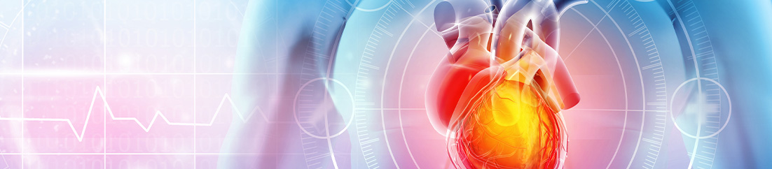 Cardiovascular Health Human heart illustration with medical graphics