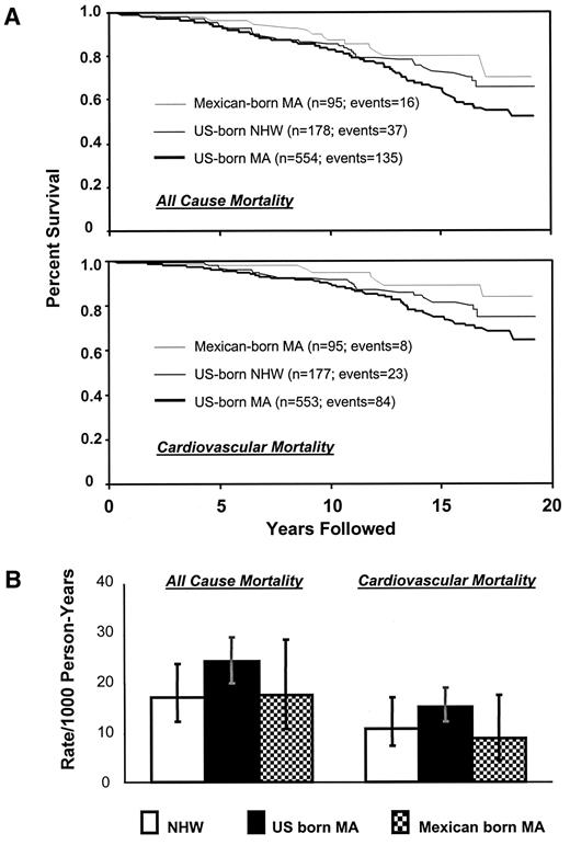 Figure 1—. A: Kaplan-Meier all-cause and cardiovascular survival estimates for the three ethnicity/birthplace stratum (unadjusted). B: All-cause and cardiovascular mortality rates (rates/1,000 person-years and 95% confidence intervals) adjusted for age and sex.