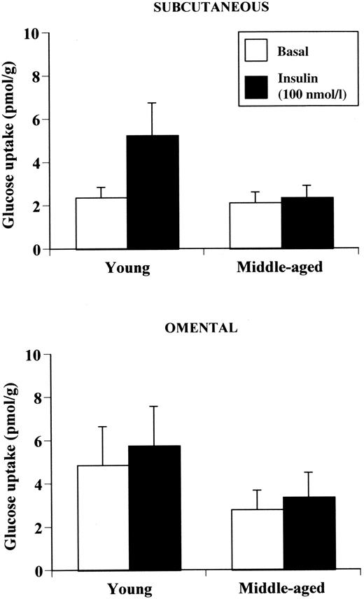 Figure 4—. Basal and insulin-stimulated 2-deoxyglucose uptake in subcutaneous abdominal and omental adipose tissue explants in young and middle-aged women paired for total and regional adiposity. Data are means ± SE.
