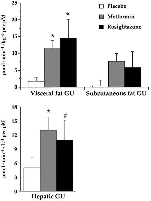 Figure 1—. Changes in VFGU and SFGU and changes in HGU after 26 weeks of treatment with placebo, metformin, or rosiglitazone. GU, glucose uptake. *P ≤ 0.05 and P = 0.07 difference from placebo.