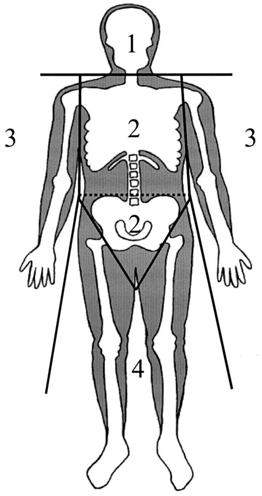 Figure 1—. Standard regions of a DXA scan: 1, head; 2, trunk; 3, arms; 4, legs.