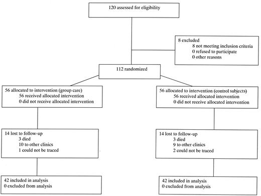 Fig. 1—. Participant flow.