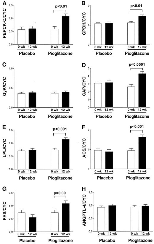 Figure 1—. Effect of the 12-week treatment with pioglitazone or placebo on PEPCK-C (A), GPDH (B), GyK (C), CAP (D), LPL (E), ACS (F), FAS (G), and ANGPTL-4 (H).