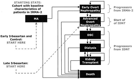 Figure 1—. Overview of model structure. Control refers to standard antihypertensive medications, including β-blockers, α/β-blockers, diuretics, peripheral vasodilators, peripheral adrenergic blockers, and central adrenergic blockers, but excluding ACE inhibitors, other angiotensin-2 receptor antagonists, and dihydropyridine calcium channel blockers, as required to achieve a target blood pressure of <135/85 mmHg, started when patients were in the state of microalbuminuria. Early irbesartan refers to 300 mg irbesartan daily, which was started when patients were in the state of microalbuminuria. Late irbesartan refers to control therapy when patients were in the states of microalbuminuria and early overt nephropathy, with 300 mg irbesartan daily added once patients reached the state of advanced overt nephropathy.