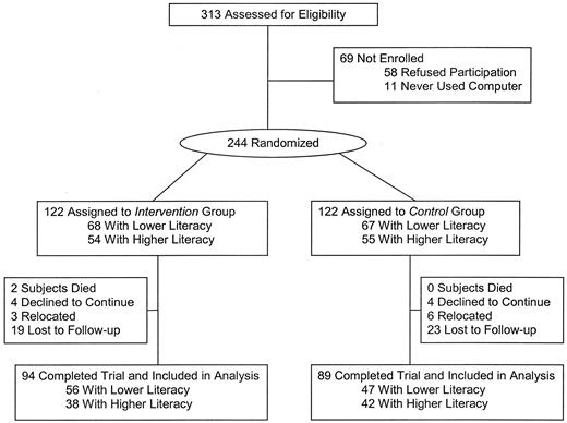 Figure 1—. Participant flow. Lower literacy defined as S-TOFHLA score 0–22 (inadequate and marginal) and higher literacy was defined as S-TOFHLA score ≥23.