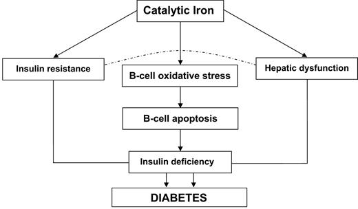Figure 1—. Pathogenic pathways for iron in induction of diabetes.