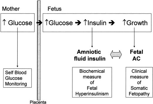 Figure 1—. The relationship of pathophysiology (e.g., Pederson Hypothesis) and clinical assessment of diabetic effects on the fetus.