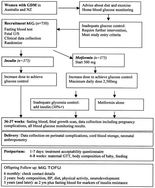 Figure 1—. Diagram of study design. BP, blood pressure; GTT, glucose tolerance test.