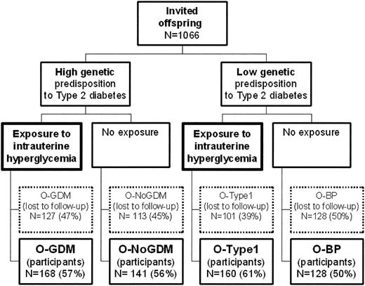 Figure 1—. Subjects in the study stratified according to relative genetic predisposition to type 2 diabetes and exposure to intrauterine hyperglycemia.