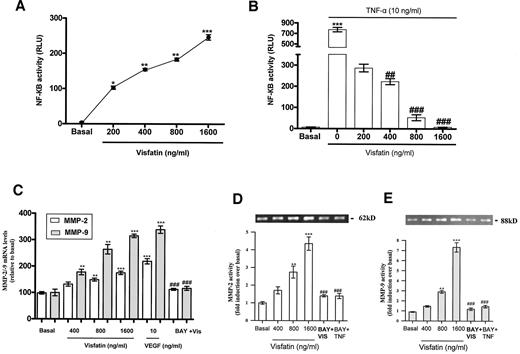 Figure 1—. A: Serum-starved endothelial cells stably transfected with pNF-κB-luciferase were treated with or without visfatin (0–1,600 ng/ml) for 2 h. Cells were lysed, and luciferase activities were measured. Visfatin induced a dose-dependent increase in luciferase activity at 2 h. *P < 0.05, **P < 0.01, ***P < 0. 001 vs. basal. B: Serum-starved endothelial cells stably transfected with pNF-κB-luciferase were preincubated with or without visfatin (0–1,600 ng/ml) for 16 h, followed by TNF-α (10 ng/ml) for 2 h. Similarly, cells were lysed, and luciferase activities were measured. Results showed significant inhibition of TNF-α–induced NF-κB–mediated transcriptional activity by visfatin, ***P < 0. 001 vs. basal, ##P < 0.01, ###P < 0.001 vs. TNF-α–treated endothelial cells. C: Serum-starved endothelial cells treated with visfatin (0–1,600 ng/ml) for 4 h showed a significant dose-dependent increase in MMP-2/9 glyceraldehyde-3-phosphate dehydrogenase (GAPDH) mRNA expression, **P < 0.01, ***P < 0.001 vs. basal. Furthermore, serum-starved endothelial cells treated with visfatin (1,600 ng/ml) preincubated with BAY 11-7085 (10 μmol/l) for 1 h significantly decreased MMP-2/9 mRNA expression, ###P <0.001 vs. visfatin treated. D–E: Serum-starved endothelial cells treated with visfatin (0–1,600 ng/ml) for 24 h showed a significant dose-dependent increase in MMP-2/9 gelatinolytic activity, **P < 0.01, ***P < 0.001 vs. basal. Furthermore, serum-starved endothelial cells treated with visfatin (1,600 ng/ml) for 24 h and preincubated with BAY 11-7085 (10 μmol/l) for 1 h significantly decreased MMP-2/9 gelatinolytic activity, ###P < 0.001 vs. visfatin treated. Data are means ± SEM of three experiments. Each experiment was carried out in triplicate.