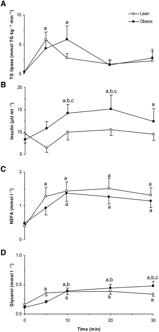 Figure 1—. Effect of resistance exercise on adipose tissue TGLA (A) plasma insulin concentration (B), serum NEFA concentration (C), and serum glycerol concentration (D) in the two groups. Error bars represent SE. aSignificantly different from the respective baseline; bsignificantly different from the respective value at 5 min; csignificantly different from lean (P < 0.05), as detected by the least squares test following two-way (group-by-time) ANOVA with repeated measures on time.