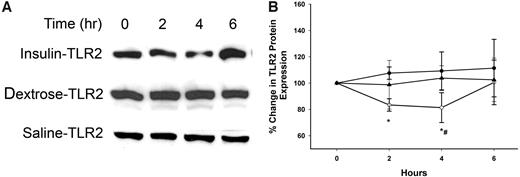 Figure 2—. TLR2 protein expression by Western blotting following insulin, dextrose, or saline infusion in type 2 diabetes. A: Representative TLR2 immunoblot in total cell lysate from MNCs of diabetic subjects following 2 units/h insulin infusion compared with dextrose and saline infusion controls. B: TLR2 protein densitometry. ○, insulin; •, dextrose; ▴, saline. *P < 0.05, repeated-measures ANOVA compared with baseline; #P < 0.05, two-way repeated-measures ANOVA compared with control groups.