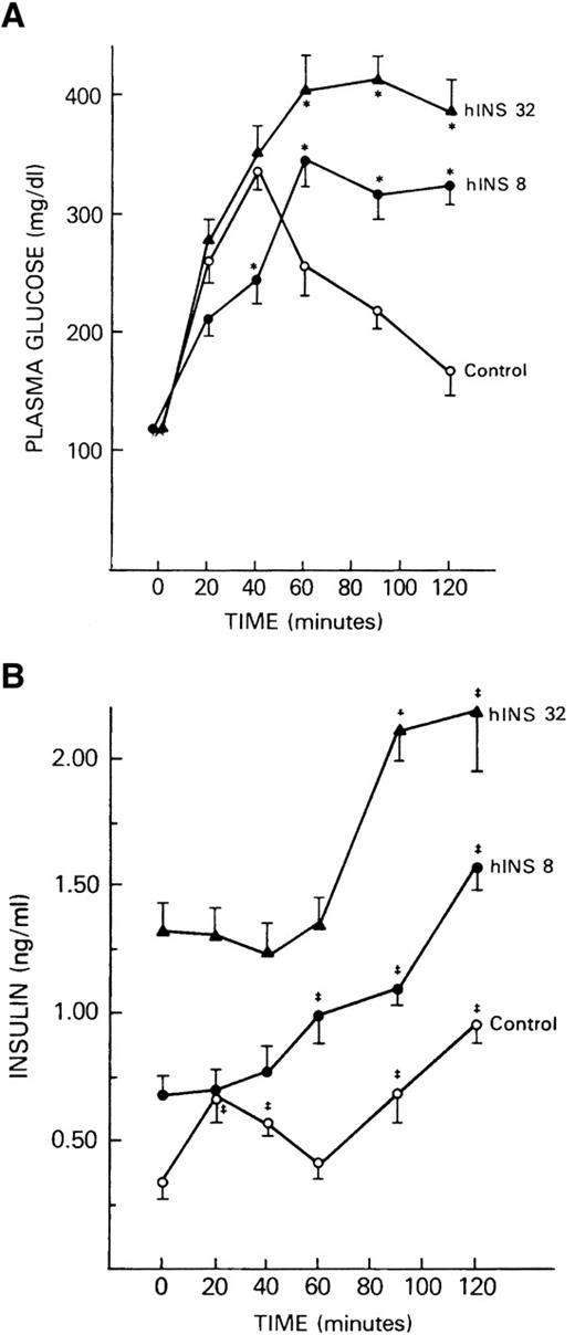 Figure 2—. Glucose tolerance tests in transgenic hyperinsulinemic (thin) mice. After an overnight fast, animals were injected intraperitoneally with glucose (2 mg/g body wt). Blood samples were taken at time points up to 120 min after injection for measurements of plasma glucose (A) and plasma insulin (B). Points each represent the mean ± SE of nine or more individual measurements. Adapted from Marban and Roth (9).