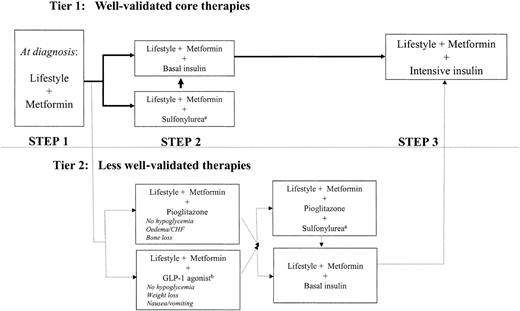 Figure 2—. Algorithm for the metabolic management of type 2 diabetes; Reinforce lifestyle interventions at every visit and check A1C every 3 months until A1C is <7% and then at least every 6 months. The interventions should be changed if A1C is ≥7%. aSulfonylureas other than glybenclamide (glyburide) or chlorpropamide. bInsufficient clinical use to be confident regarding safety. See text box, entitled titration of metformin. See Fig. 1 for initiation and adjustment of insulin. CHF, congestive heart failure.