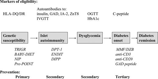 Figure 1. Natural history of type 1 diabetes and prevention opportunities.