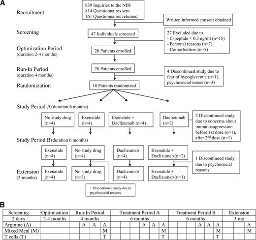 Figure 1. Study design (A) and timeline for testing procedures (B): 20 patients entered the optimization period, 16 were randomized, and 14 completed the entire trial. B: A, arginine stimulation test; M, mixed-meal test; T, T-cell proliferation test.