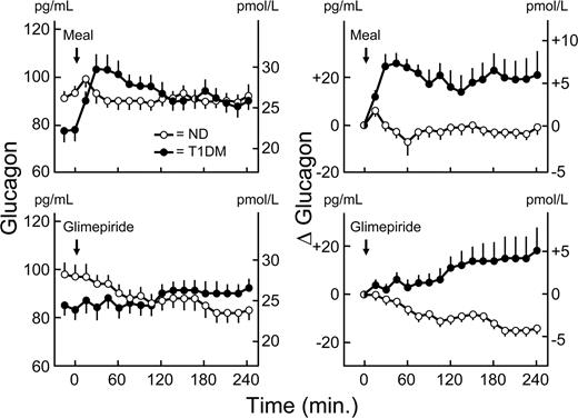 Figure 3. Means ± SEM plasma glucagon concentrations (left panels) and change in plasma glucagon from zero time (right panels) before and after ingestion of a mixed meal (top panels) and of the sulfonylurea glimepiride (bottom panels) in basal insulin–infused patients with type 1 diabetes (T1DM) (●) and nondiabetic (ND) individuals (○). Differences in baseline-adjusted glucagon levels, P < 0.0001.