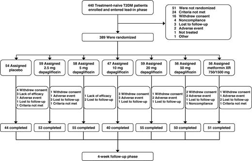 Figure 1. Patient disposition and study design. T2DM, type 2 diabetic.