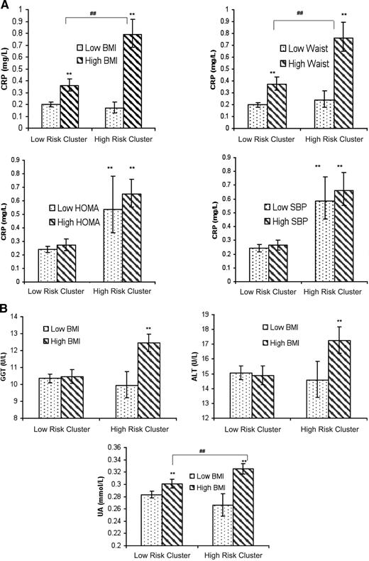 Figure 2. A: CRP in relation to cluster membership and median splitting of BMI, waist circumference, SBP, and HOMA. ** P < 0.001 compared with the reference group (low-risk cluster and low BMI). ##P < 0.001 for difference between the two groups indicated. , below the median level of a particular component of the metabolic syndrome (BMI, waist circumference, SBP, or HOMA); , above the median level of a particular component of the metabolic syndrome (BMI, waist circumference, SBP, and HOMA). B: GGT, ALT, and uric acid in relation to cluster membership and median splitting of BMI. ** P < 0.001 compared with the reference group (low-risk cluster and low BMI). ##P < 0.001 for difference between the two groups indicated. , below the median of BMI; , above the median of BMI.