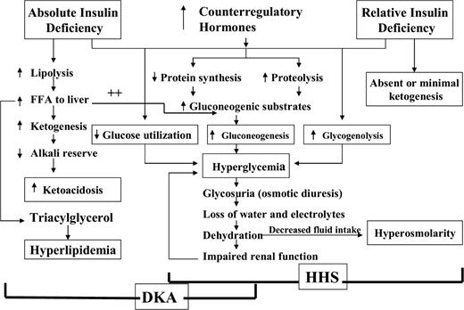Figure 1. Pathogenesis of DKA and HHS: stress, infection, or insufficient insulin. FFA, free fatty acid.