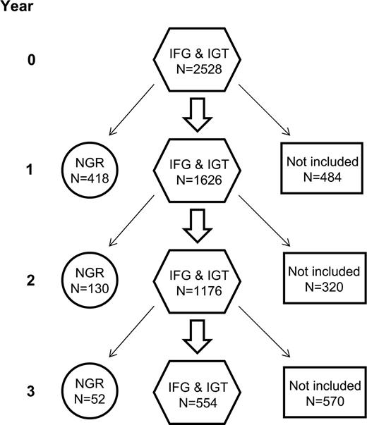 Figure 1. Flowchart for primary data analysis illustrating handling of the data from years 1 to 3. IFG, fasting glucose = 5.6–6.9 mmol/l; IGT, 2-h glucose = 7.8–11.1 mmol/l; NGR, fasting glucose <5.6 mmol/l; and 2-h glucose <7.8 mmol/l. Data “not included” were censored from subsequent analyses due to regression to NGR (in year prior), isolated IFG or IGT, progression to diabetes, or missing data.