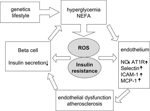 Figure 2. Harmful effects of hyperglycemia on β-cell and endothelial function. AT1R, angiotensin II type 1 receptor; ICAM-1, intercellular adhesion molecule 1; MCP-1, monocyte chemoattractant protein 1; NEFA, nonesterified fatty acids; ROS, reactive oxygen species.