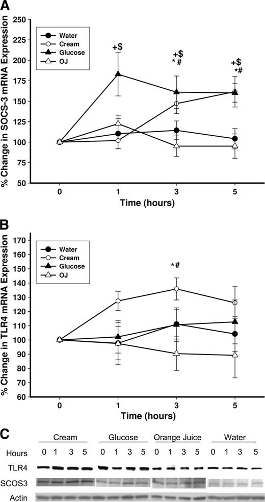Figure 1. Change in SOCS-3 (A, C, and D) and TLR-4 (B, C, and E) mRNA and protein expression in MNCs from normal subjects after a 300-calorie drink of cream (○), glucose (▴), orange juice (OJ, ▵), or water (●). Data are means ± SEM. * and +, P < 0.05 with RMANOVA comparing changes in relation to baseline after cream and glucose challenges; # and $, P < 0.05 with two-way RMANOVA for comparisons of cream and glucose changes, respectively, to water (n = 12).