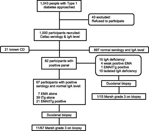 Figure 1. Study participant flow diagram. Four individuals refused the duodenal biopsy (all were positive for EMA/tTG).