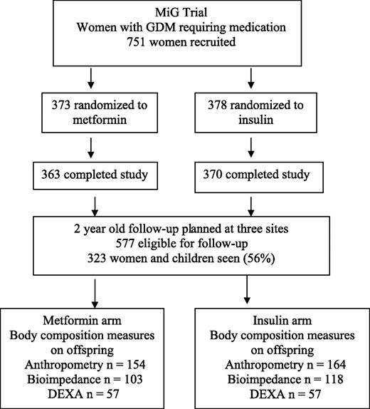 Figure 1. Offspring followed up from the MiG trial.