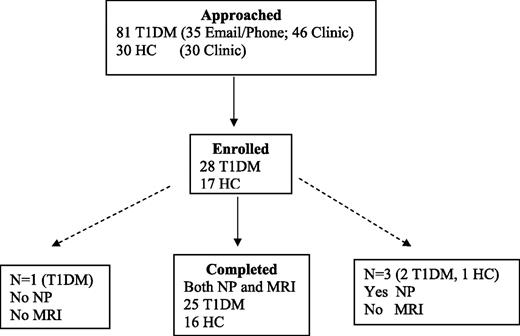 Figure 1. Recruitment and enrollment. Subjects were more likely to participate in the study when approached in person in the clinic. Most of the subjects with type 1 diabetes mellitus (T1DM) and the HC participants were able to complete both NP testing and the MRI.