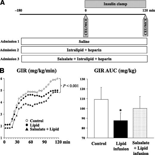 Figure 1. Study protocol (A) and GIRs during euglycemic-hyperinsulinemic clamps (B). Each subject was studied thrice randomly and CEU/MCE performed before and after 2-h euglycemic insulin clamp. Plasma glucose was measured every 5 min and GIR was adjusted to maintain euglycemia. AUC, area under the curve. *P < 0.007 vs. control.