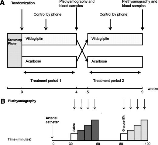 Figure 1. The study protocol (A) in which 4 weeks’ treatment with vildagliptin and acarbose are administered in a cross-over design. The protocol of venous occlusion plethysmography (B) started with insertion of arterial catheter at t = 0, after which a 30-min equilibration period followed. Baseline FBF measurements and subsequently FBF measurements during the infusion of acetylcholine (dark gray; 0.5, 2.0, and 8.0 µg ⋅ dL−1 ⋅ min−1) are performed. Again, after a 30-min equilibration period, baseline FBF and FBF during infusion of sodium nitroprusside (light gray; 0.06, 0.20, and 0.60 µg ⋅ dL−1 ⋅ min−1) are assessed.