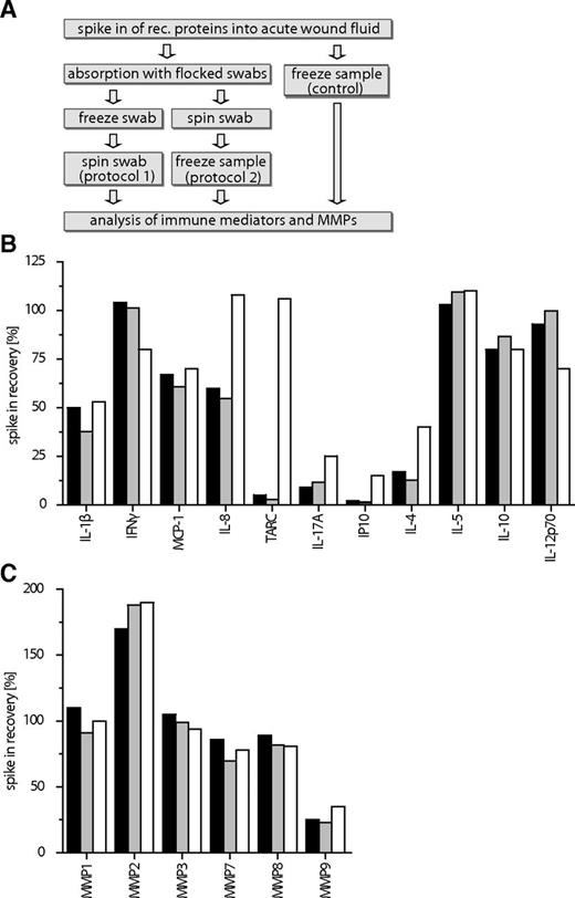 Figure 3. Influence of the sample-processing procedure on protein recovery. Recombinant (rec.) immune mediators and MMPs were spiked into 1% acute wound fluid obtained from one patient. The spiked wound fluid sample was absorbed to flocked swabs. Subsequently, samples were either frozen directly on the swabs (protocol 1, gray bars) or after recovery from the swabs by centrifugation (protocol 2, black bars). In control experiments, spiked wound fluid was frozen directly without swab treatment (white bars). After thawing, concentrations of immune mediators and MMPs were determined using multiplexed sandwich immunoassays. A: Experimental workflow. B and C: Recovery of spiked-in immune mediators and MMPs. Shown are mean percentage recovery values averaged from two individual experiments and duplicate measurements. Intra-assay coefficients of variation were <8%. Spiked-in analyte concentrations: cytokines/chemokines: 2.5 ng/mL each; MMP1: 3.4 ng/mL; MMP2: 27.5 ng/mL; MMP3: 4.75 ng/mL; MMP7: 45.75 ng/mL; MMP8: 40 ng/mL; and MMP9: 23.95 ng/mL.