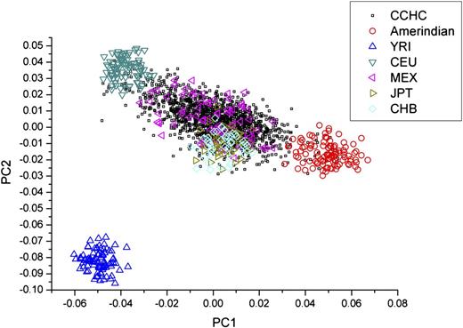 Figure 1. PCA of the population structure of the CCHC participants. CCHC participants show a predominant admixture of European and Amerindian ancestries. Amerindian, Mayan from Chimaltenango Guatemala, Nahua Amerindians from central Mexico, and Quechuan Amerindians from Peru (5); CEU, Utah residents with Northern and Western European ancestry from the Centre d'Etude du Polymorphisme Humain (CEPH) collection; CHB, Han Chinese in Beijing, China; JPT, Japanese in Tokyo, Japan; MEX, Mexican ancestry in Los Angeles, California; YRI, Yoruba in Ibadan, Nigeria.