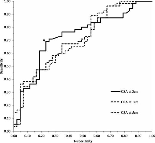 Figure 2. ROC curve for the identification of DSP by PTN CSA at 1, 3, and 5 cm in 98 subjects. The curve depicting PTN CSA measured at 3 cm proximal to the cephalad border of the medial malleolus is represented by the solid black line. Its AUC of 0.731 was the largest among the three measurements taken. The point exhibiting the optimal operating characteristics, indicated by *, was on the curve for CSA at 3 cm; it had a sensitivity of 69% and a specificity of 77%, corresponding to a threshold value of 19.01 mm2.