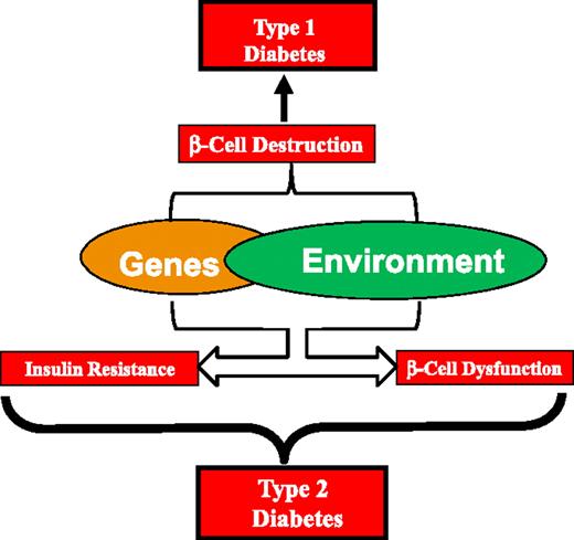 Figure 1. Schematic of the pathogenesis of diabetes. Genetic and environmental factors, acting via complex immunological mechanisms, result in β-cell destruction that leads to type 1 diabetes. Gene-environment interactions also underlie susceptibility to type 2 diabetes, the pathophysiological hallmarks of which include insulin resistance and β-cell dysfunction.