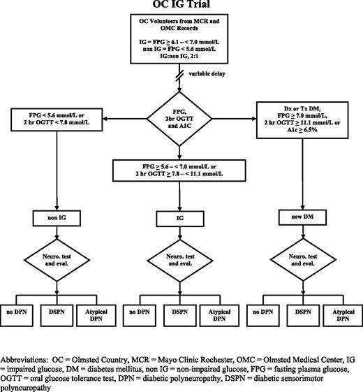 Figure 1. Shown is the algorithm used to identify IG and non-IG patients from Mayo Clinic Rochester (MCR) and Olmsted Medical Center (OMC) disease and laboratory registries. At study (usually delayed by months), volunteers were classified by their IG status and microvessel complications (e.g., no DPN, DSPN, or atyp DPN) in non-IG, IG, and new diabetes (DM) groups. Eval., evaluation; Dx, diagnosis; Neuro, neuropathy; Tx, treated as DM.