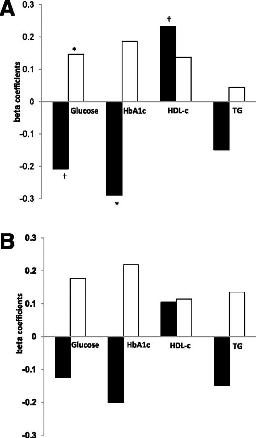 Figure 2. Association of metabolic parameters and cardiovascular parameters with absolute abdominal fat tissues in patients with type 2 diabetes, stratified by sex. A: Entire group. B: Men only. Multivariate model adjusted for age and waist circumference. SSAT (black bar). DSAT (white bar). Numbers represent β standardized coefficient: the amount and direction by which absolute abdominal fat tissues change (mm2) for each unit change in the metabolic parameters, while accounting for the other variables in the model. TG, triglycerides (mg/day). *P < 0.05. †P < 0.1.