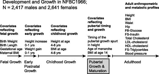 Figure 1. Study design. The aim of the study is to evaluate the relationship between pubertal timing and adult anthropometric and metabolic profiles. The study subjects, all participants in the Northern Finland Birth Cohort Study 1966 (NFBC1966), have been prospectively followed from birth to adulthood and have data reflecting fetal, childhood, and pubertal growth, in addition to adult anthropometric and metabolic profiles. FB, fasting blood. FS, fasting serum. yrs, years.
