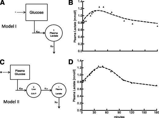 Figure 1. One-compartment model depiction (A) and corresponding fit to the average time course of plasma lactate (B). Two-compartment model (C) and fit of the model to the observed average data (D).