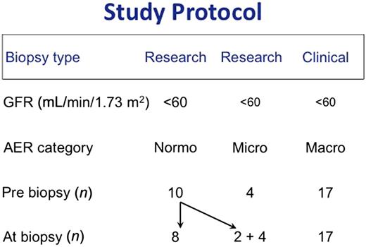 Figure 1. Study protocol. Fourteen patients had research renal biopsies, and 17 patients with macroalbuminuria had renal biopsies for clinical reasons. As part of the study protocol, after ceasing RAS inhibitor therapy for 4–6 weeks prebiopsy, 2 out of 10 patients with normoalbuminuria developed microalbuminuria (“pseudonormoalbuminuria”), making the total number of patients with normoalbuminuria eight and with microalbuminuria six. Normo, normoalbuminuria; micro, microalbuminuria; macro; macroalbuminuria.
