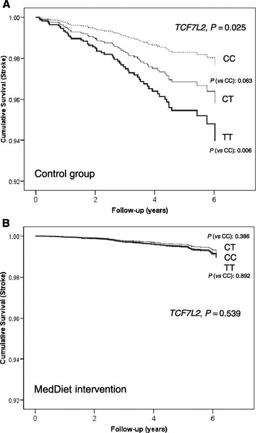 Figure 1. Cumulative stroke free-survival by TCF7L2-rs7903146 genotypes in the control group (A) (n = 2,291) and in the MedDiet intervention groups (B) (n = 4,827). Cox regression models with outcome of stroke and the TCF7L2-rs7903146 polymorphism (CC, CT, and TT) adjusted by sex, age, center, type 2 diabetes, BMI, intervention group, alcohol, smoking, total energy intake, and adherence to the MedDiet at baseline. The P values for the TCF7L2 polymorphism and for the corresponding genotypes (CT vs. CC or TT vs. CC) were obtained in the multivariable adjusted models.