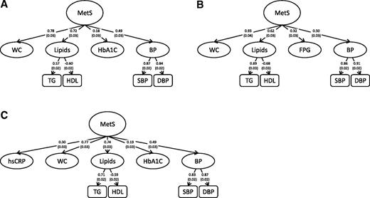 Figure 1. A: The standard second-order one-factor MetS model in the random sample of EPIC-NL. B: The standard second-order one-factor MetS model in the subset of the MORGEN study. C: The standard second-order one-factor MetS model extended with hsCRP in the random sample of EPIC-NL. Data are presented as factor loading (SE). All factor loadings are significant (P < 0.05). The first-order factors are waist circumference (WC), lipids, HbA1c, FPG, and blood pressure. The second-order factors are triglyceride (TG), HDL, systolic blood pressure (SBP), and diastolic blood pressure (DBP). 