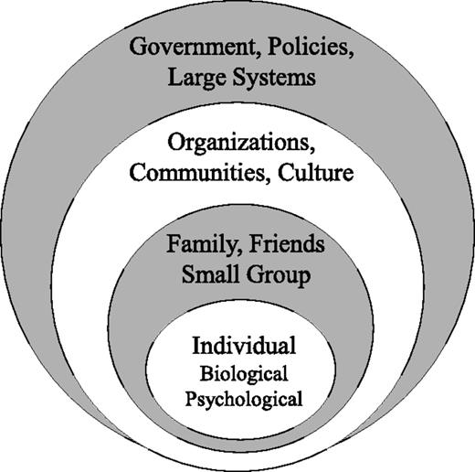 Figure 1. Ecological model of health behavior. Adapted from Fisher et al. Behavioral science research in the prevention of diabetes: status and opportunities. Diabetes Care 2002;25:599–606.