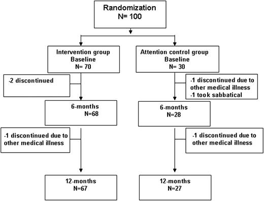 Figure 1. Randomization and completion of the 6- and 12-month evaluations.