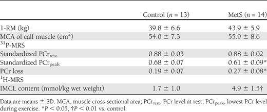 Skeletal muscle energy metabolism