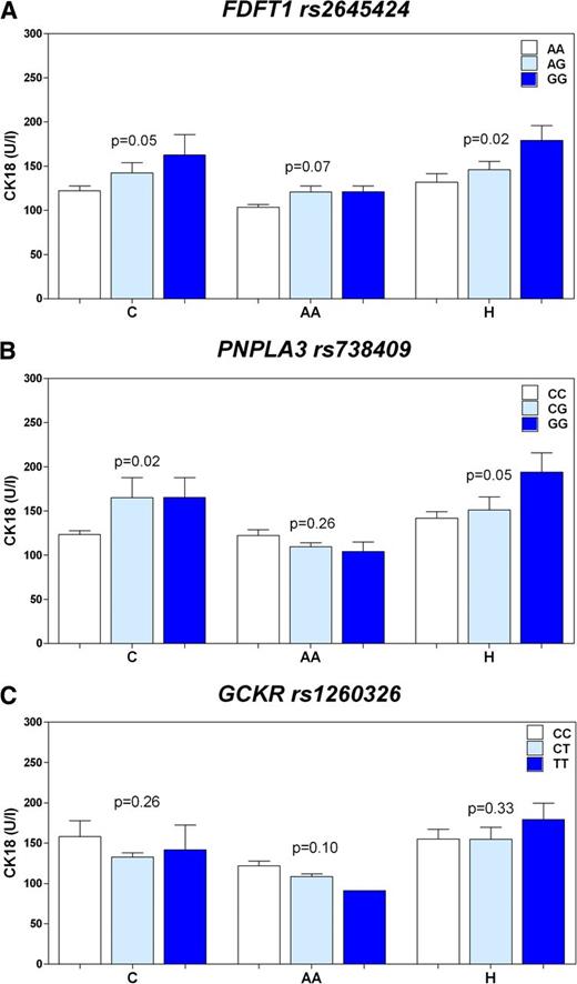 Figure 3. Association between CK-18 levels and FDFT1 rs2645424, PNPLA3 rs738409, and GCKR rs1260326. A: CK-18 levels according to the FDFT1 rs2645424 genotypes (AA, AG, GG, CC, CG, CT and TT) in the three ethnic groups (Caucasians, P = 0.05; African Americans, P = 0.08; Hispanics, P = 0.02). The white bars represent the AA, the light blue bars represent the AG, and the dark blue bars represent the GG. B: CK-18 levels according to the PNPLA3 rs738409 genotypes in the three ethnic groups (Caucasians, P = 0.02; African Americans, P = 0.26; Hispanics, P = 0.05). The white bars represent the CC, the light blue bars represent the CG, and the dark blue bars represent the GG. C: CK-18 levels according to the GCKR rs1260326 genotypes in the three ethnic groups (Caucasians, P = 0.26; African Americans, P = 0.10; Hispanics, P = 0.33). The white bars represent the CC, the light blue bars represent the CT, and the dark blue bars represent the TT. AA, African Americans; C, Caucasians; H, Hispanics.