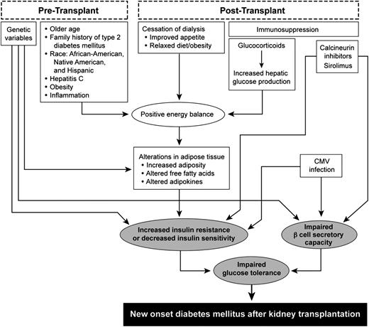 Figure 2. Proposed mechanisms in the pathogenesis of NODAT. CMV, cytomegalovirus.