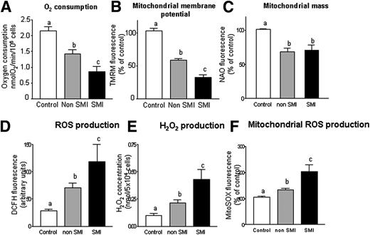 Figure 1. Effects of type 2 diabetes on oxygen consumption and mitochondrial membrane potential and mass. A: O2 consumption in control subjects (n = 30) and type 2 diabetic patients with (n = 25) or without SMI (n = 47) in a closed respiration chamber measured as nmol O2/min/million cells. B: Mitochondrial membrane potential (TMRM fluorescence, % of control) in control subjects (n = 29) and type 2 diabetic patients with (n = 25) or without SMI (n = 68). C: Mitochondrial mass (NAO fluorescence, % of control) in control subjects (n = 60) and type 2 diabetic patients with (n = 25) or without SMI (n = 80). Effects of type 2 diabetes on ROS. D: Changes in the fluorescence of DCFH in control subjects (n = 37) and type 2 diabetic patients with (n = 25) or without SMI (n = 50). E: H2O2 production in control subjects (n = 28) and type 2 diabetic patients with (n = 25) or without SMI (n = 25). F: Mitochondrial ROS production (MitoSOX fluorescence, % of control) in control subjects (n = 25) and type 2 diabetic patients with (n = 25) or without SMI (n = 38). Data are expressed as mean + SEM. Different letters (a, b, and c) indicate significant differences among groups (a is different from b, a is different from c, and b is different from c) (P < 0.05) when compared by means of one-way ANOVA followed by a post hoc test.