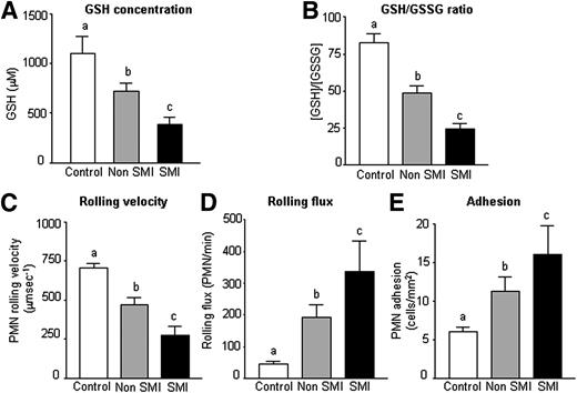 Figure 2. A: The levels of GSH in control subjects (n = 36) and type 2 diabetic patients with (n = 25) or without SMI (n = 36). B: The GSH/GSSG ratio in control subjects (n = 37) and type 2 diabetic patients with (n = 25) or without SMI (n = 38). Effects of type 2 diabetes on C: PMN rolling velocity (μm sec−1) (n = 10 per group), D: rolling flux (PMN/min) (n = 10 per group), and E: PMN adhesion (PMN/mm2) (n = 10 per group). Data are expressed as mean + SEM. Different letters (a, b, and c) indicate significant differences among the groups (a is different from b, a is different from c, and b is different from c) (P < 0.05) when compared by means of one-way ANOVA followed by a post hoc test.